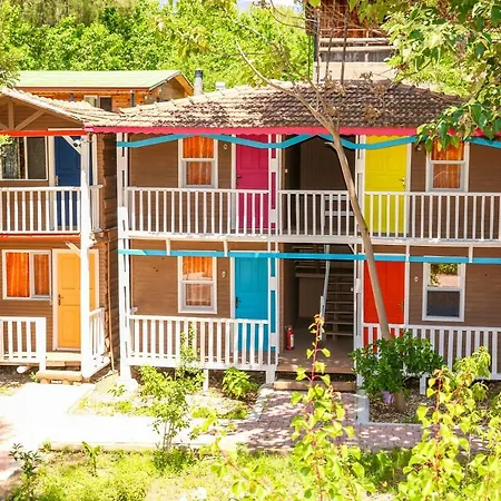 Olimpos Salinas Çıralı